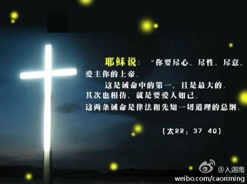 讲章网讲章大全截图3