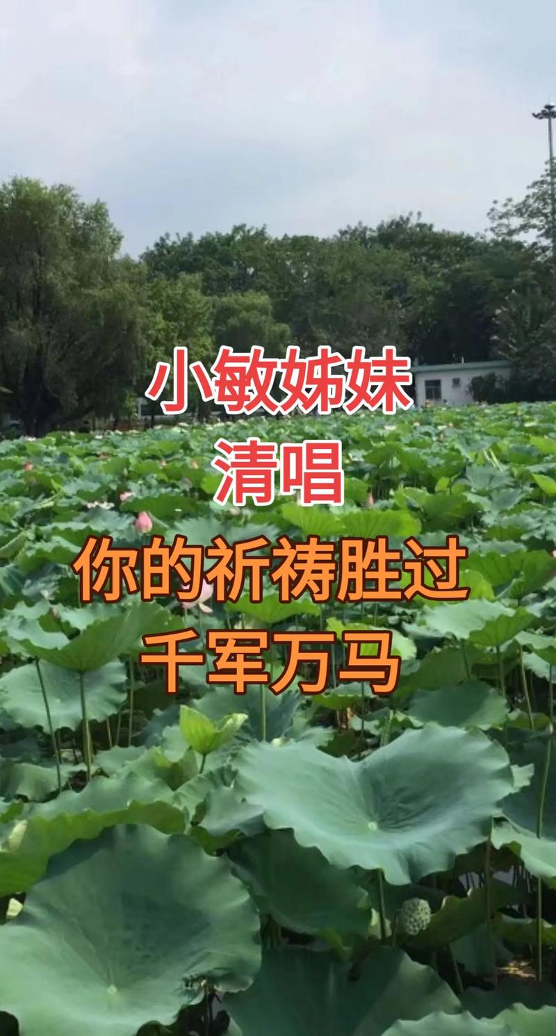 感恩的泪小敏原唱