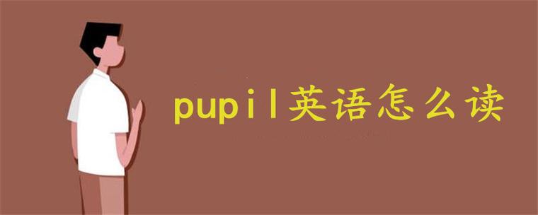 学生英语pupil