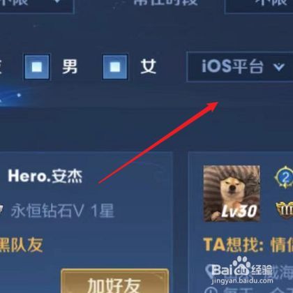 王者没有找朋友功能了吗
