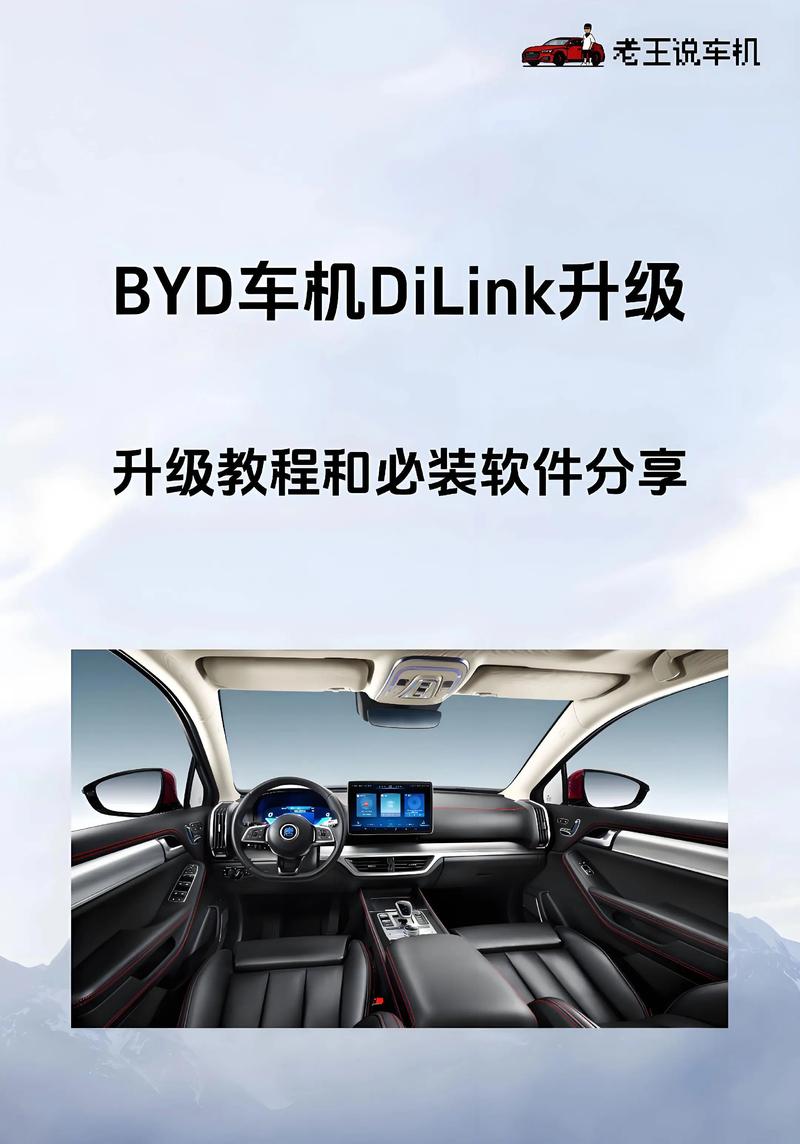 Dilink升级验证码助手
