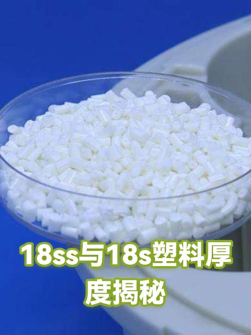 18ss是啥意思