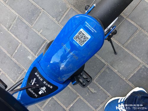 bluegogo小蓝单车app截图3