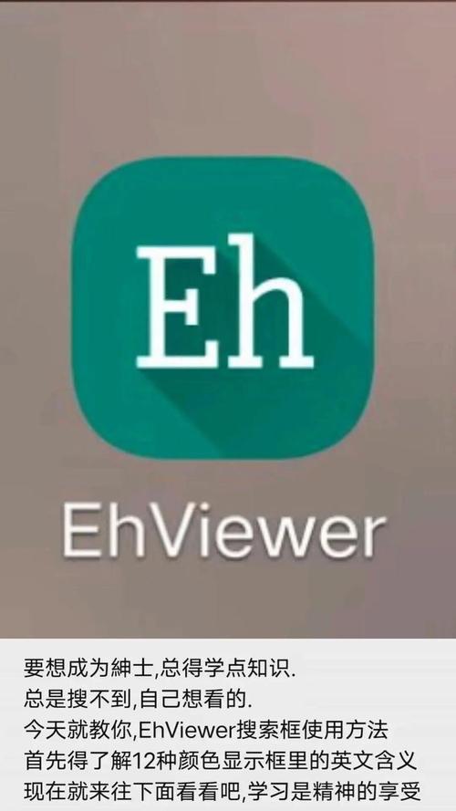 ehvierwer彩色