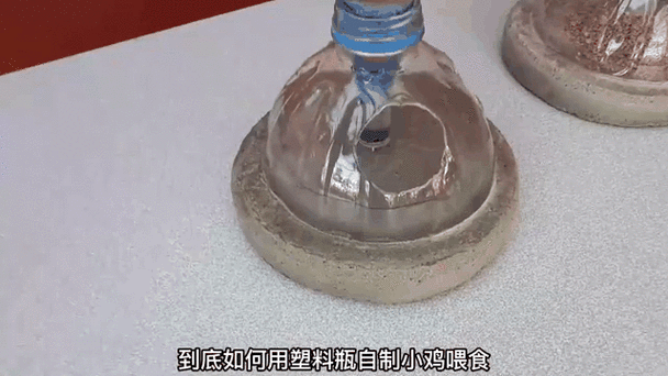 小鸡喂水器自制塑料瓶