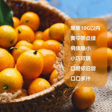 脆皮金桔价格
