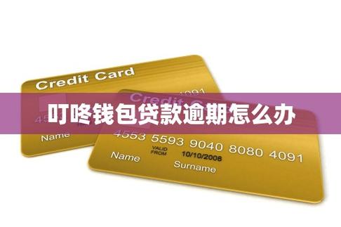叮咚小包和叮咚钱包是一个app吗