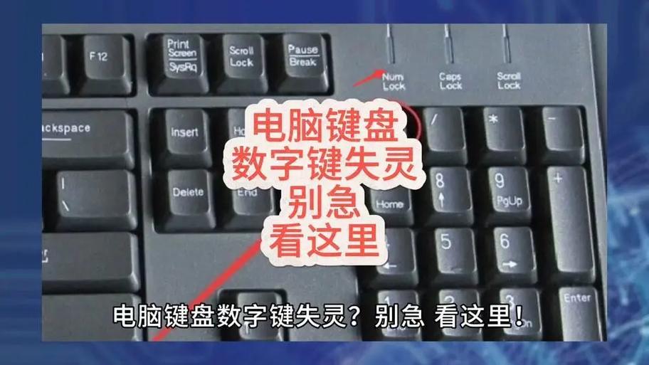 电脑键盘失灵的原因