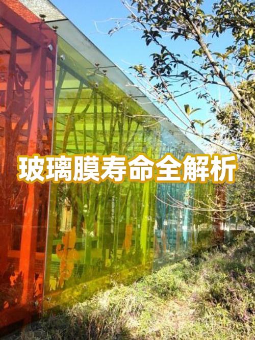 手机膜使用寿命