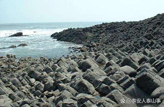 海拍客公司值得去吗