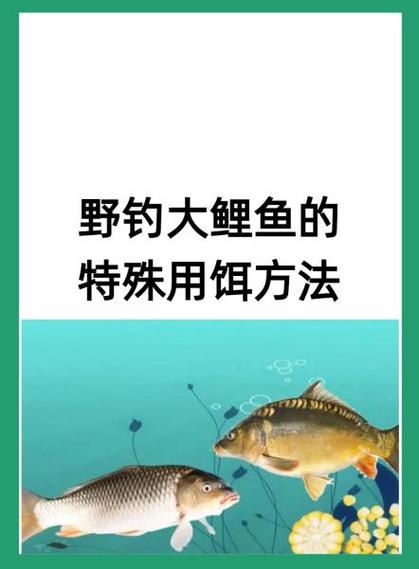钓鱼地点概率大全