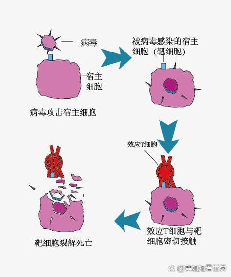 va病毒入侵