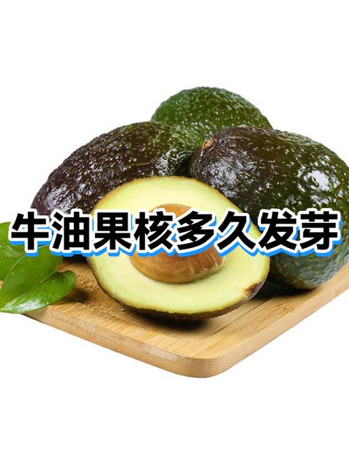牛油果壳有什么用