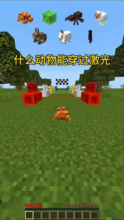 迷你世界的视频