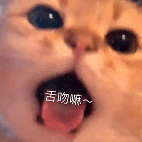 表情包撩人