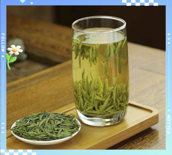 竹叶青怎么泡才正确