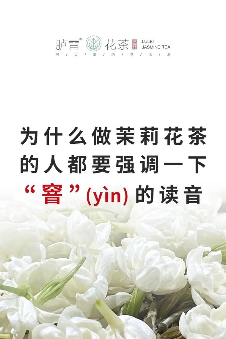 茉莉发音