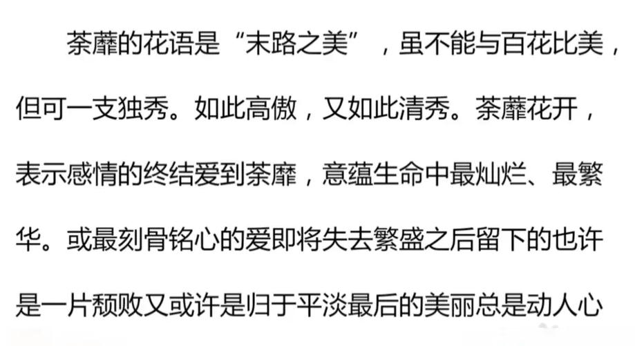 董贞《繁花》歌词