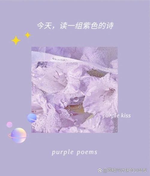 紫色的赞美词