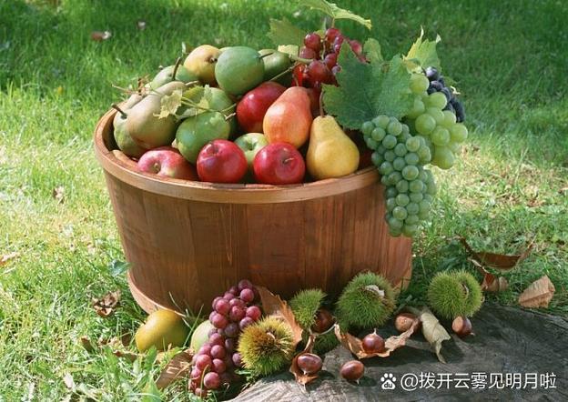 瓜果丰收的成语