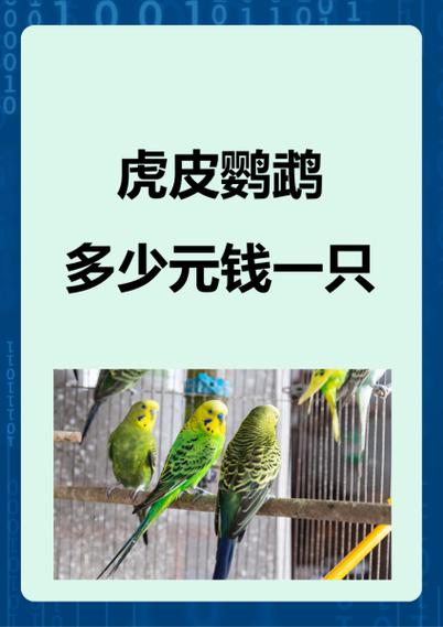 鹦鹉几月份买合适