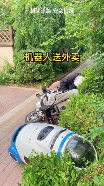 送餐机器人有多搞笑