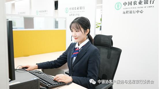 中国农业银行咨询服务