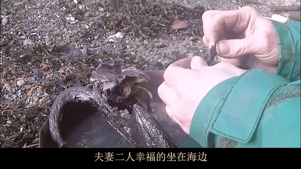 荒野生存100天第一季