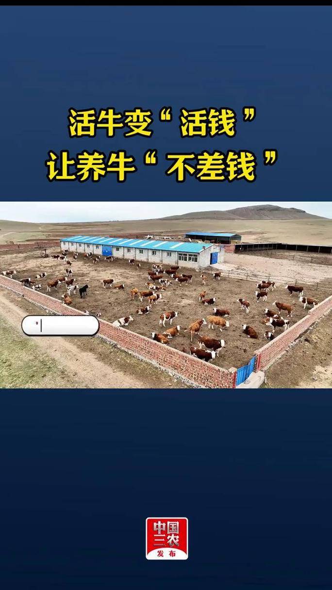 牛牛贷款