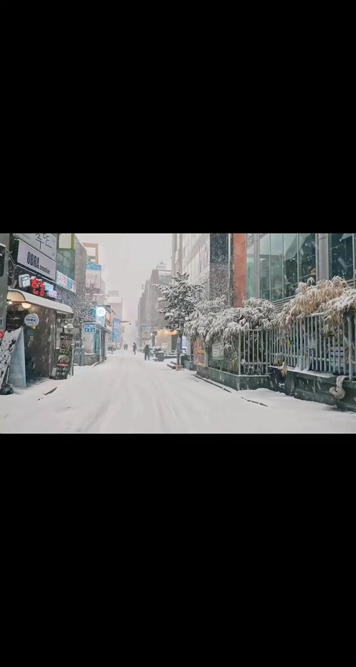 北方的雪飘不到南方的街原唱
