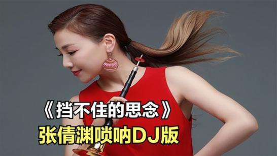 DJ唢呐串烧歌曲大全