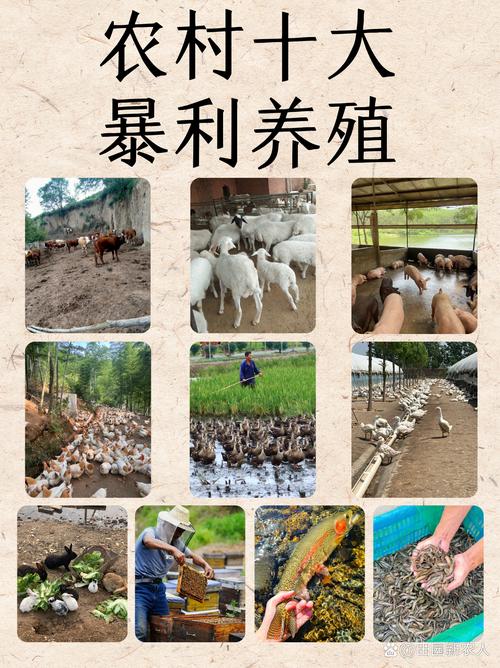 养殖什么挣钱