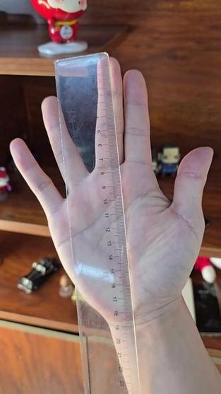 18厘米的手掌算大吗