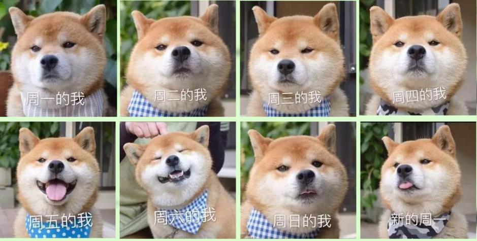 周一到周日的表情包