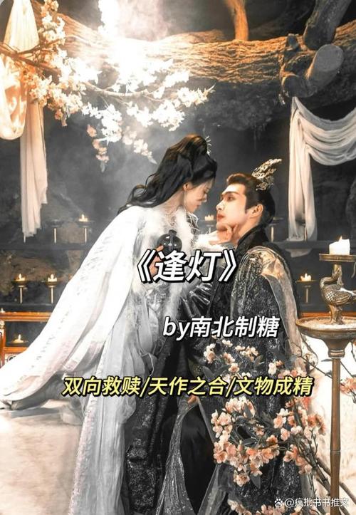 《逢灯》小说无删减免费阅读截图2
