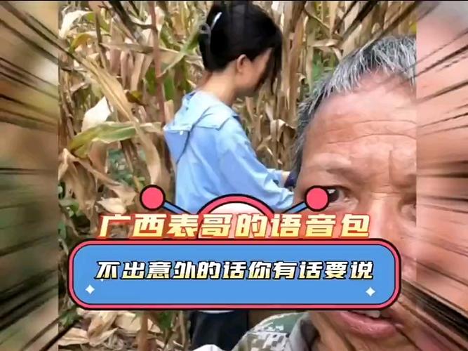 广西小伙语音包