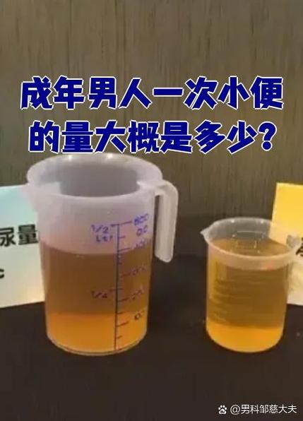喝一斤水能排多少尿