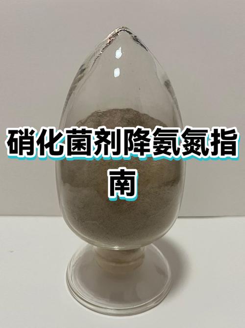 怎么降氨氮比较快