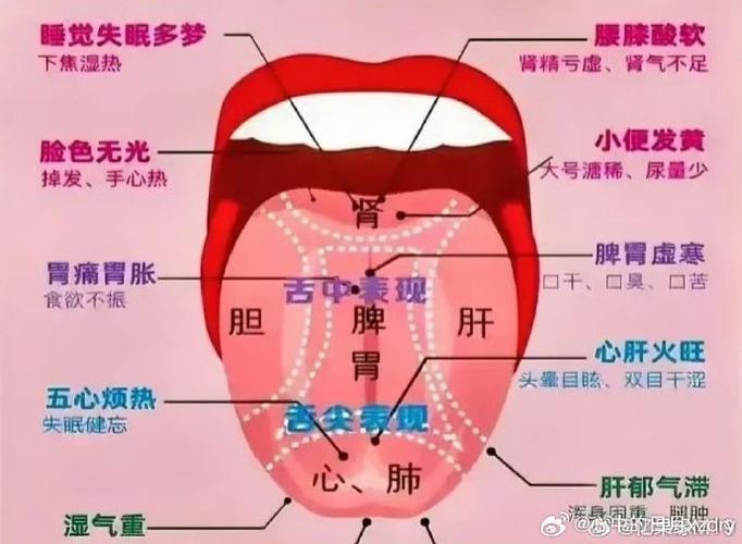 舌伸不出来中医叫什么