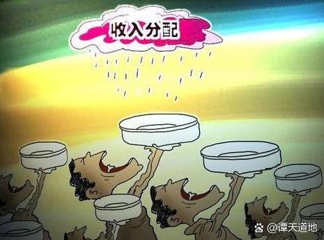 分配性政策的举例说明