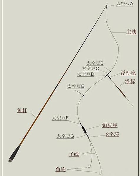 台钓竿如何和线连接
