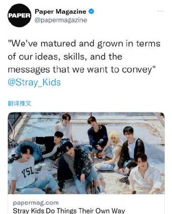 stray的中文翻译