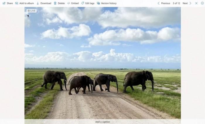onedrive.live com截图3