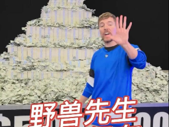 野兽先生版权被谁买了
