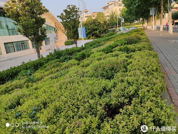 小米9照片水印