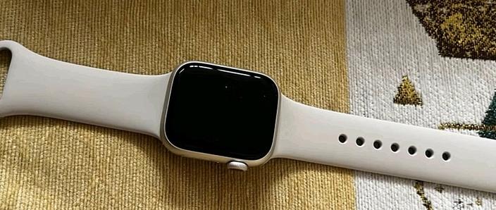 22年iwatch最新款截图2