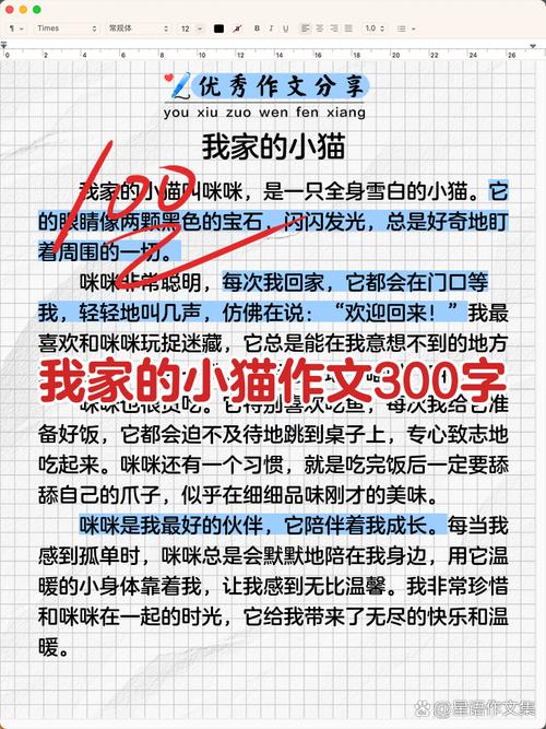 mc怎么把猫带回家