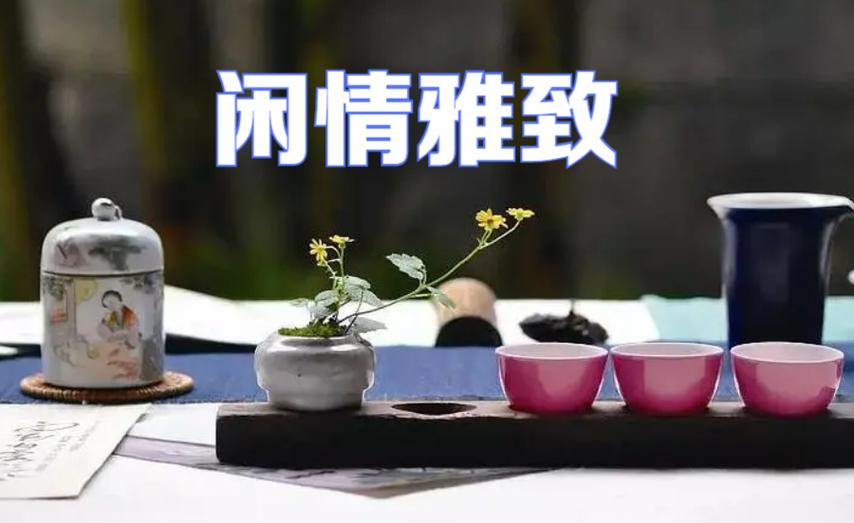 雅致一般比喻什么人