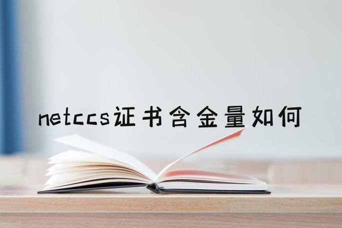 NETCCS含金量高吗