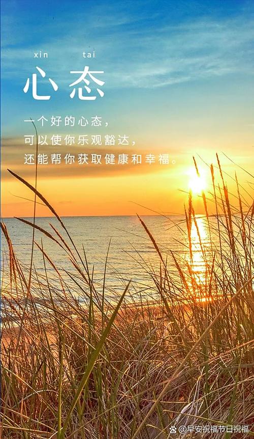 每日能量金句